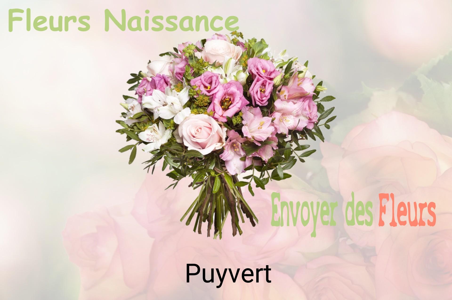 Bouquet de fleurs de naissance livré à Puyvert
