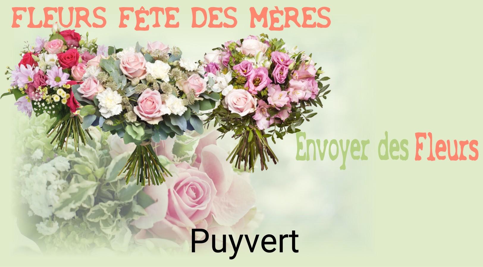 Bouquet de Fête des Mères livré à Puyvert